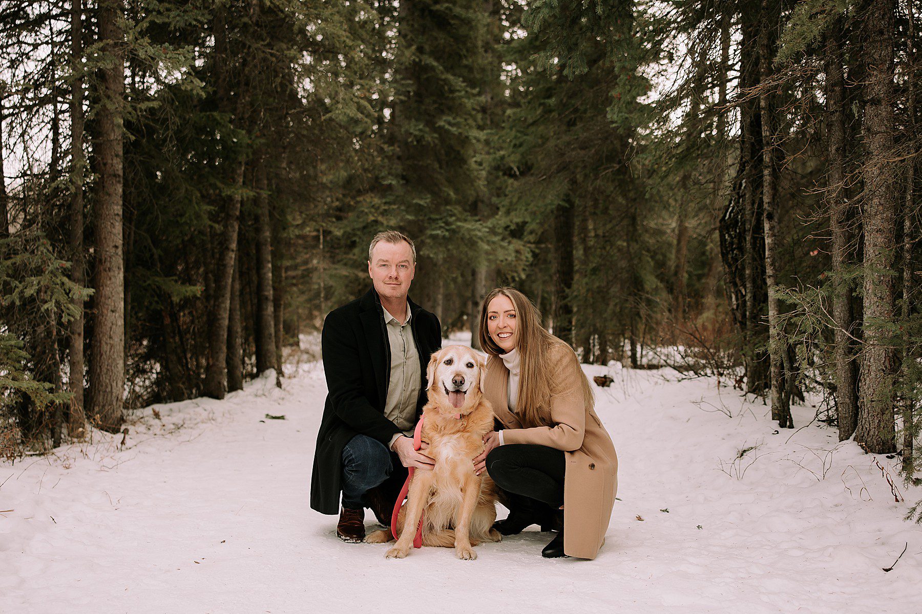 couple posing in a winter setting with their dog. They are dressed in casual winter attire and are surrounded by evergreens and snow